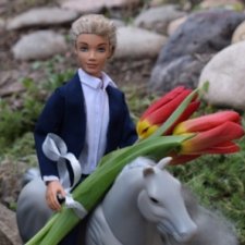 Поздравления от принца на белом коне (Лукоморье. Сага)