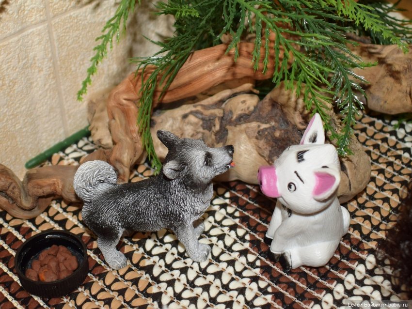 Манящая экзотика. Постконкурсное | Бэйбики Манящая экзотика. Постконкурсное (фото 4)