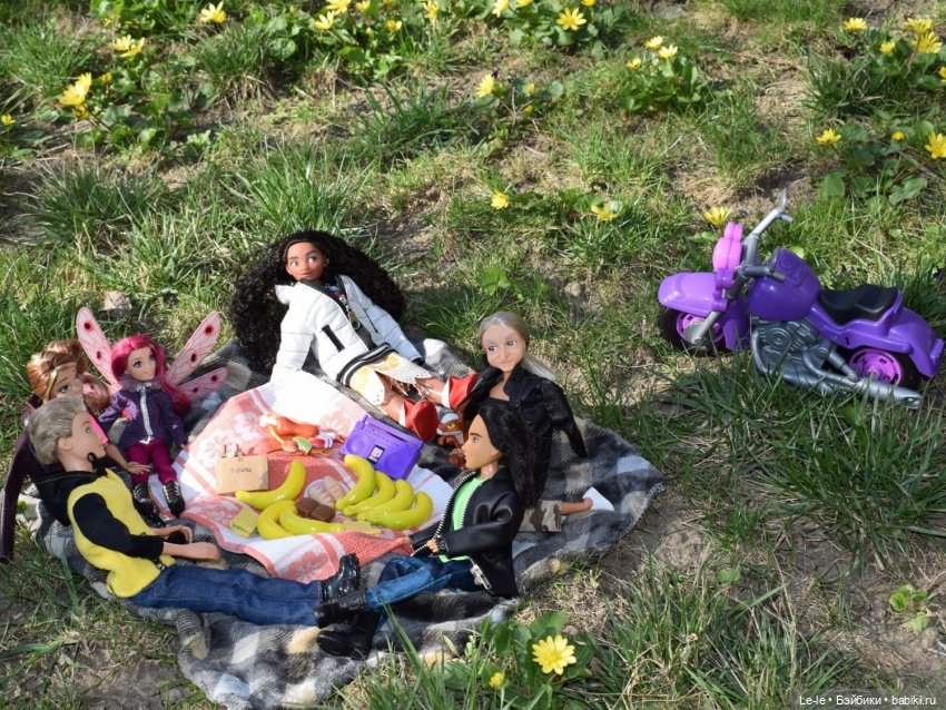 Моану приглашают на пикник (фото 4)