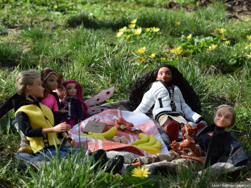 Моану приглашают на пикник