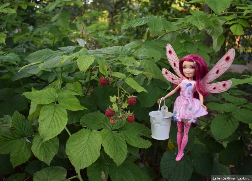 Палеонтологическая экспедиция (Лукоморье Сага)