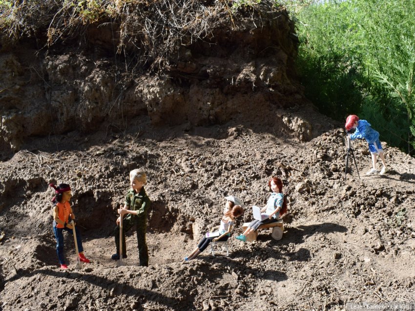 Палеонтологическая экспедиция (Лукоморье Сага) (фото 7)