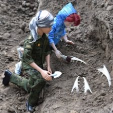 Палеонтологическая экспедиция (Лукоморье Сага)