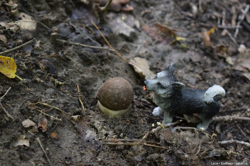 Грибные дождики (Лукоморье. Сага) (фото 10)