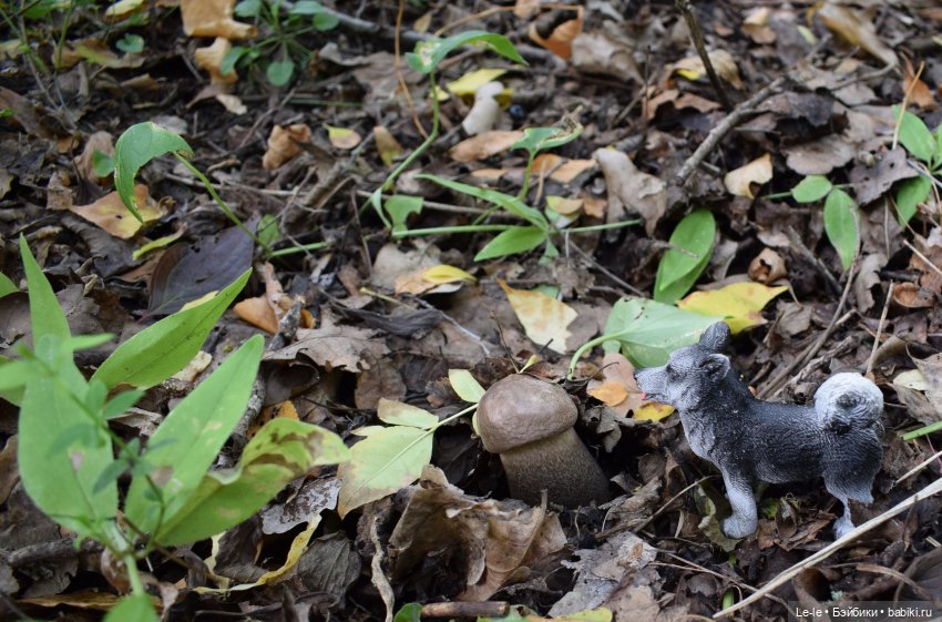 Грибные дождики (Лукоморье. Сага)