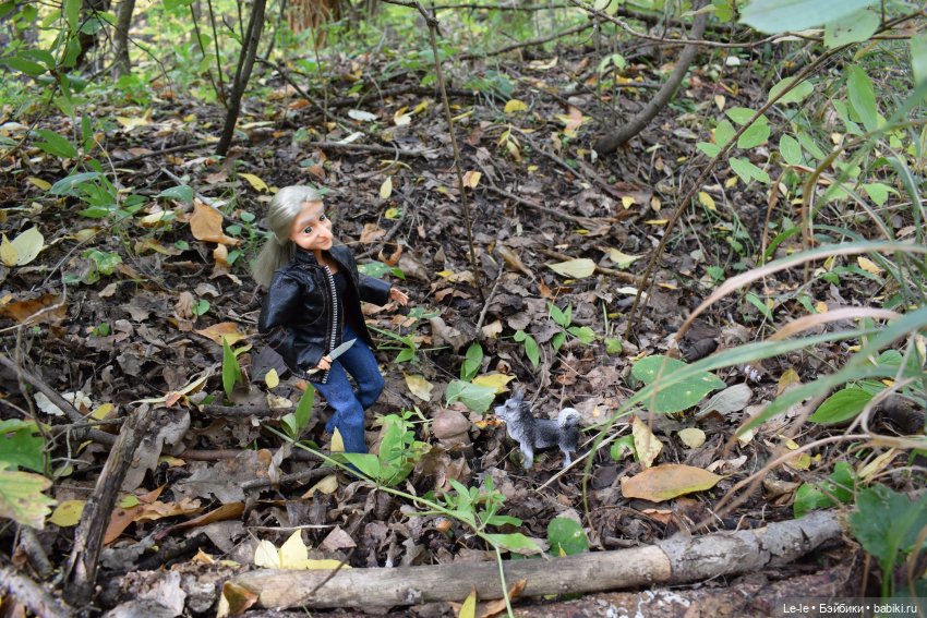 Грибные дождики (Лукоморье. Сага)