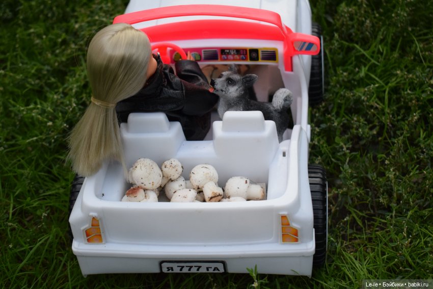 Грибные дождики (Лукоморье. Сага) (фото 4)