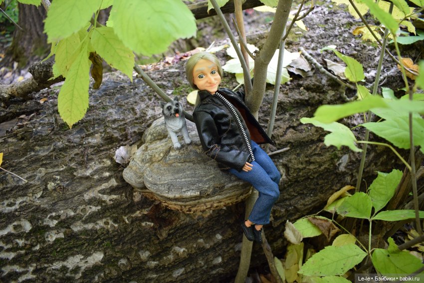 Грибные дождики (Лукоморье. Сага) (фото 6)