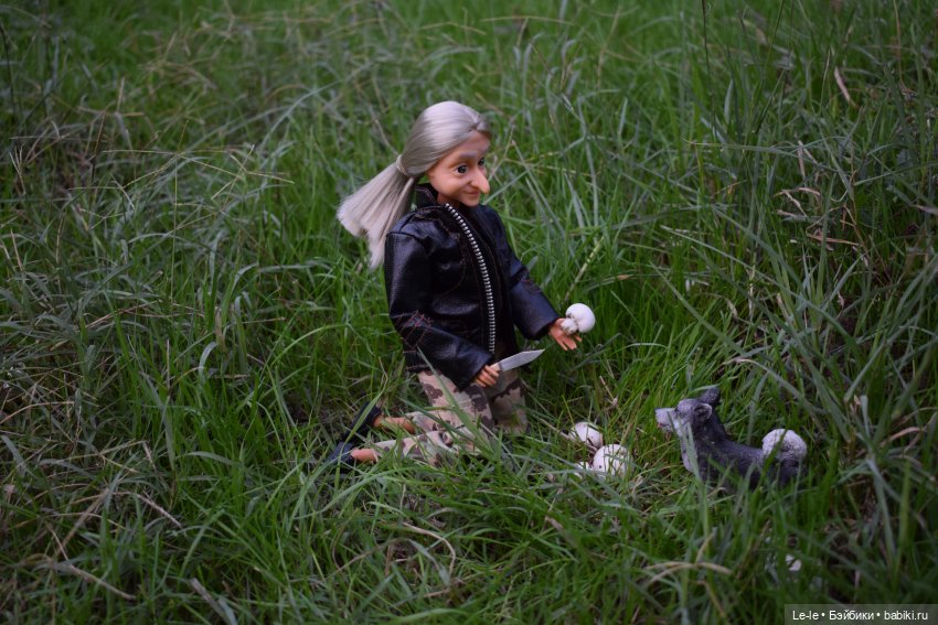 Грибные дождики (Лукоморье. Сага) (фото 2)