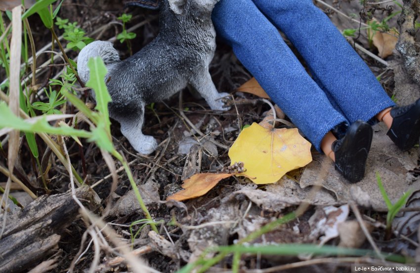 Грибные дождики (Лукоморье. Сага)