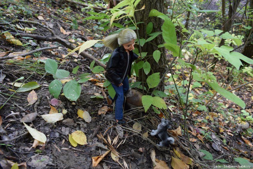 Грибные дождики (Лукоморье. Сага)