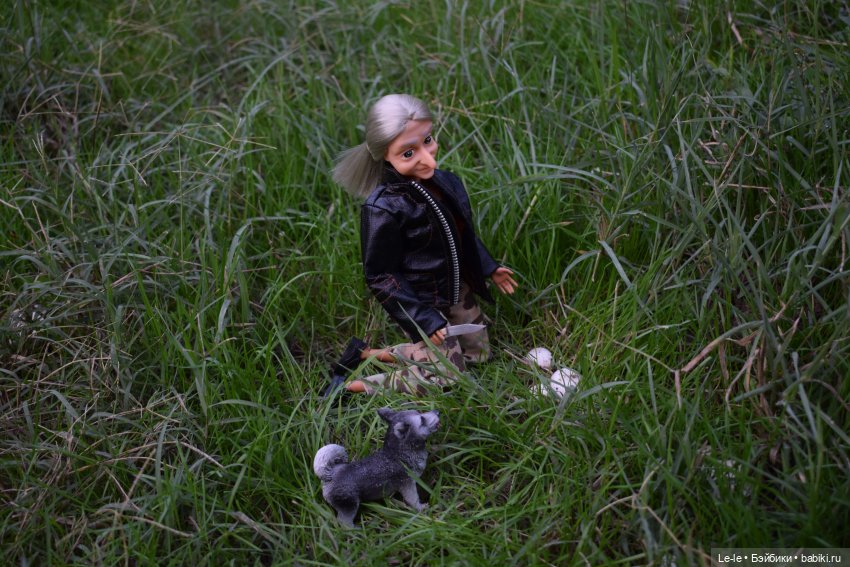 Грибные дождики (Лукоморье. Сага)