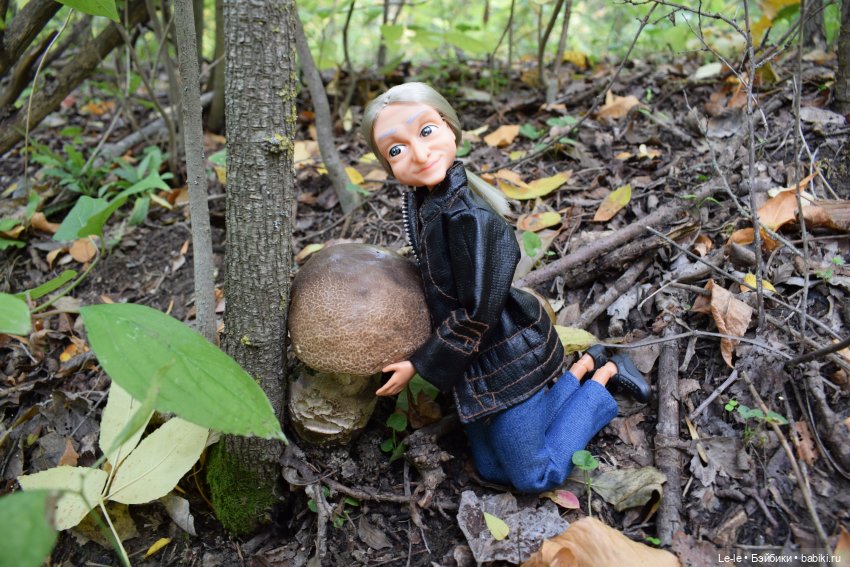 Грибные дождики (Лукоморье. Сага)