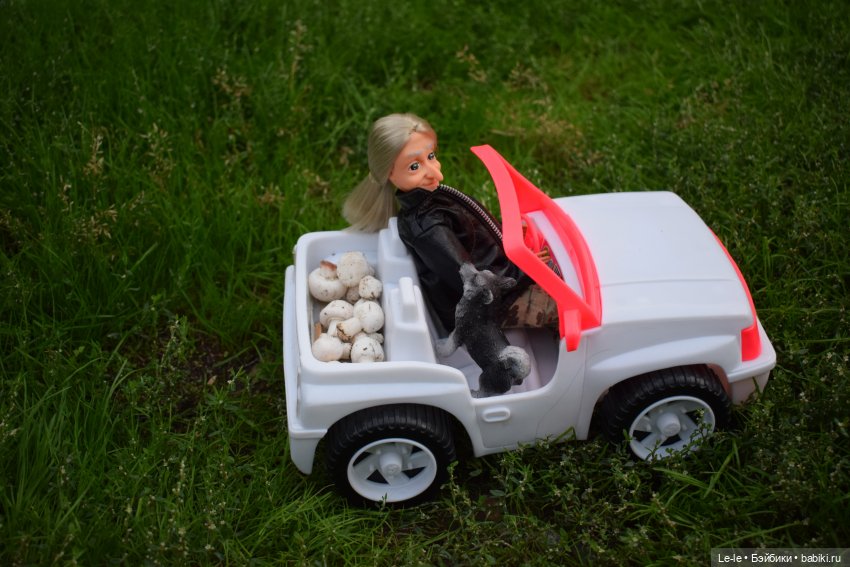 Грибные дождики (Лукоморье. Сага) (фото 3)