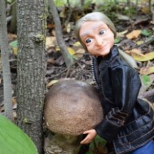 Грибные дождики (Лукоморье. Сага)