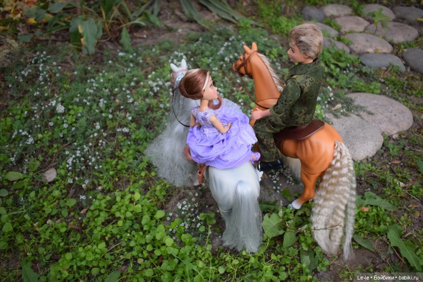 Годовщина знакомства (Лукоморье Сага)