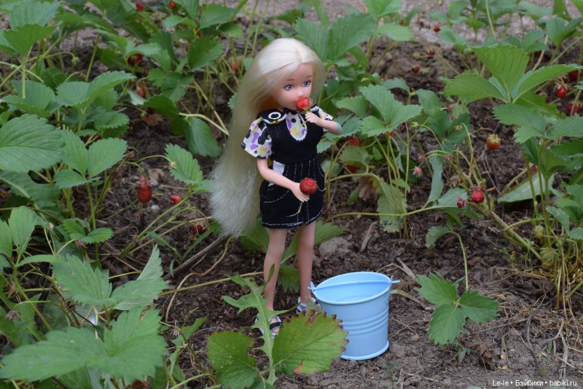 Ягусины помощницы (Лукоморье. Сага) (фото 6)