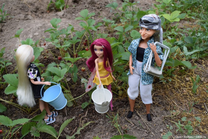 Ягусины помощницы (Лукоморье. Сага)