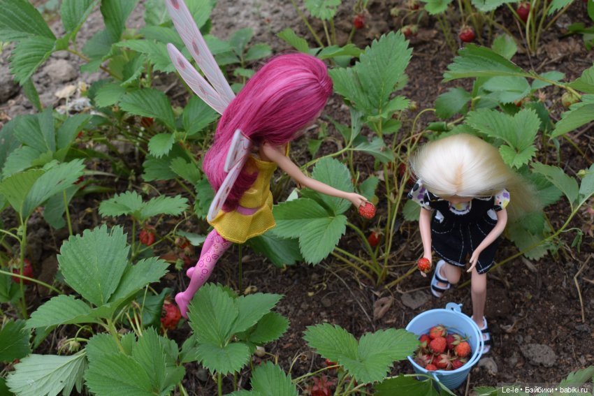 Ягусины помощницы (Лукоморье. Сага)