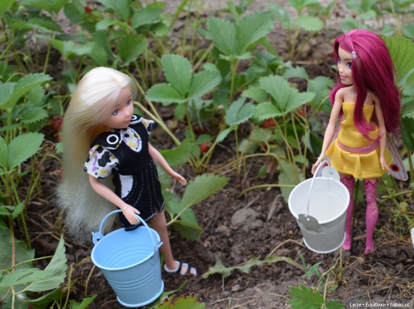 Ягусины помощницы (Лукоморье. Сага) (фото 2)