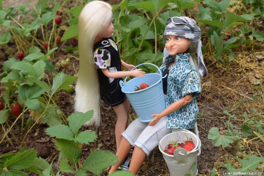 Ягусины помощницы (Лукоморье. Сага)