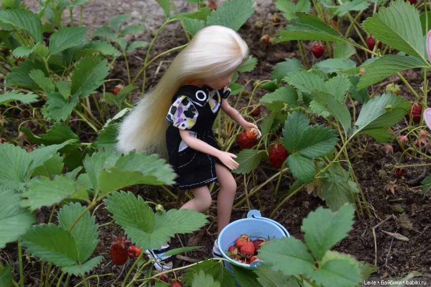 Ягусины помощницы (Лукоморье. Сага)