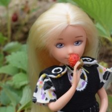 Ягусины помощницы (Лукоморье. Сага)