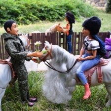 В День семьи, любви и верности (Лукоморье. Сага)