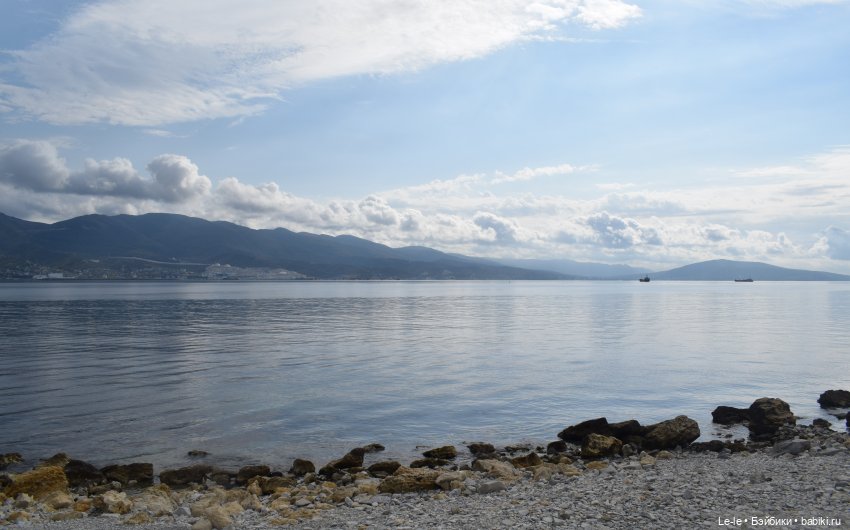 Вспомнить всё — Игровые куклы разных производителей (Разное): редкие бренды