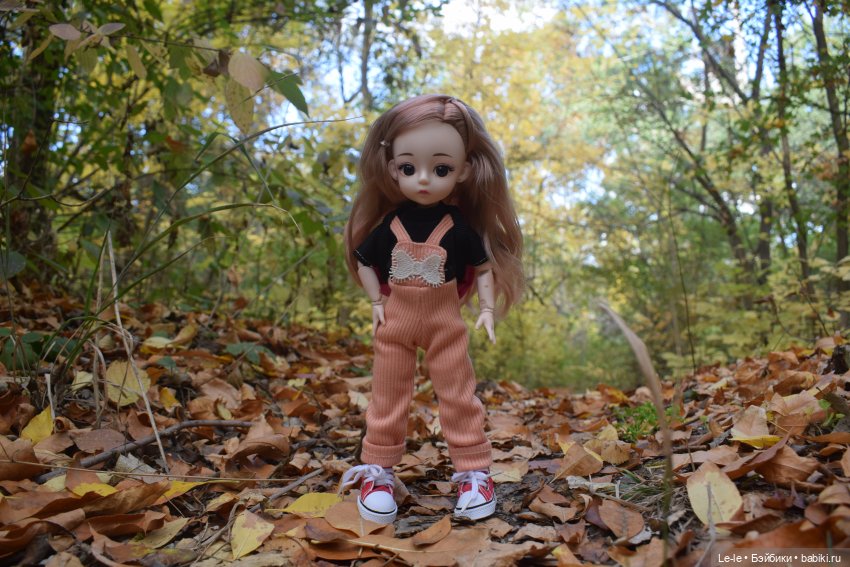 Марыся едет за грибами — Куклы Baboliy (Баболи