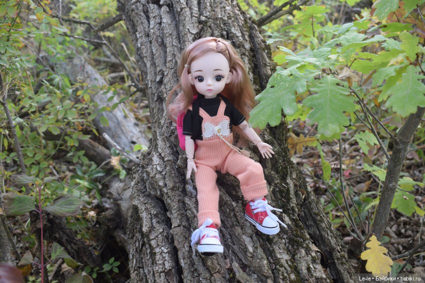 Марыся едет за грибами — Куклы Baboliy (Баболи (фото 5)