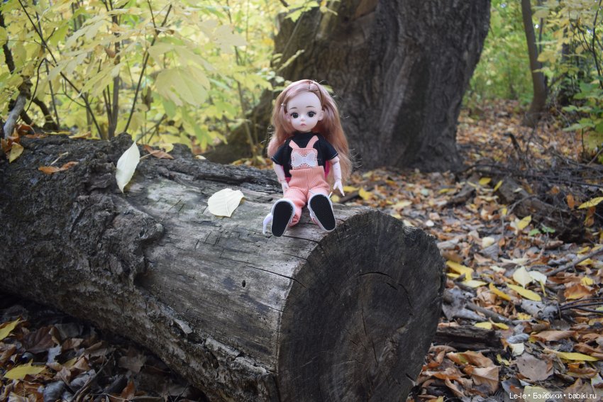 Марыся едет за грибами — Куклы Baboliy (Баболи