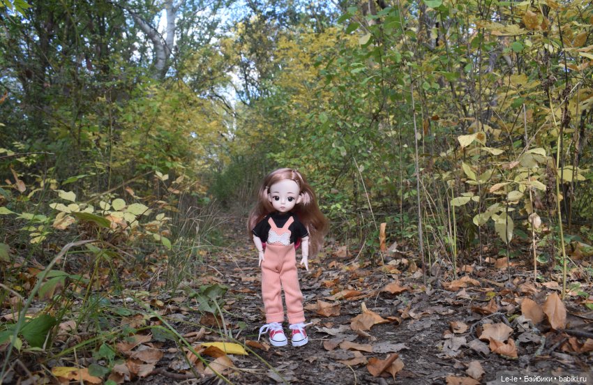 Марыся едет за грибами — Куклы Baboliy (Баболи