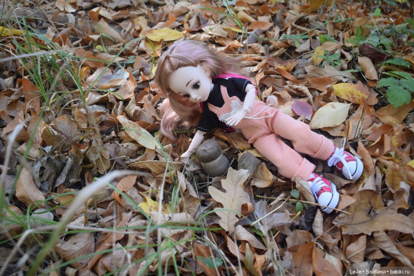 Марыся едет за грибами — Куклы Baboliy (Баболи