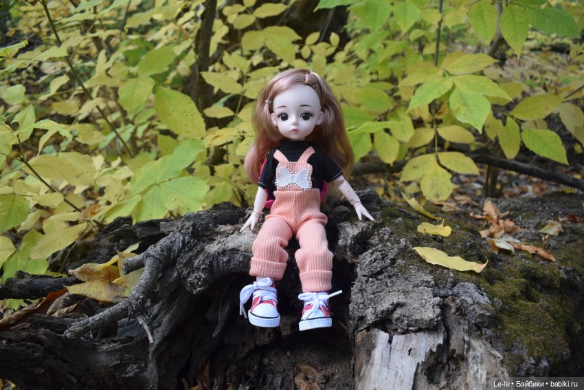 Марыся едет за грибами — Куклы Baboliy (Баболи