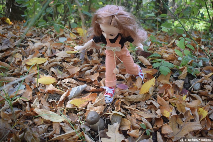 Марыся едет за грибами — Куклы Baboliy (Баболи