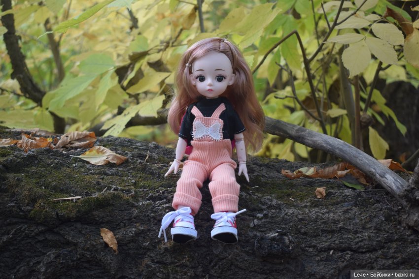 Марыся едет за грибами — Куклы Baboliy (Баболи
