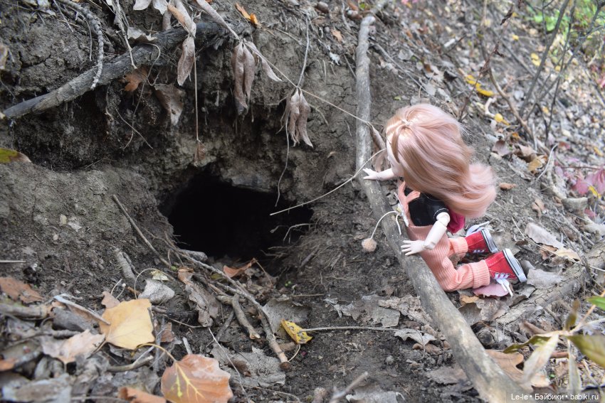 Марыся едет за грибами — Куклы Baboliy (Баболи (фото 8)