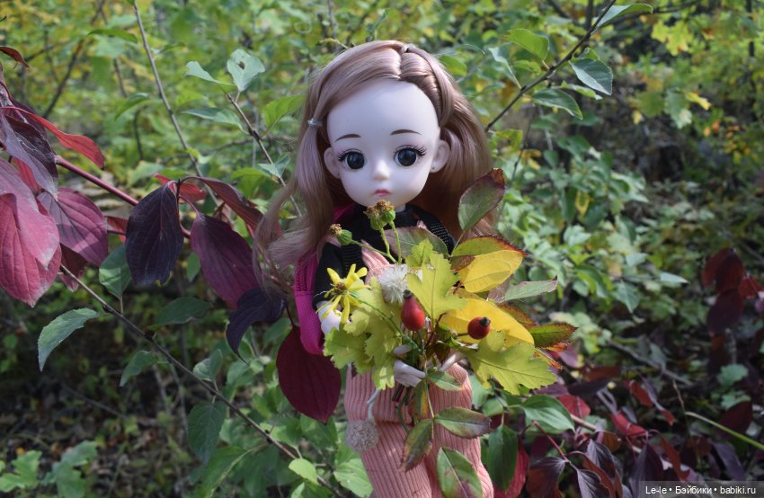 Марыся едет за грибами — Куклы Baboliy (Баболи (фото 6)