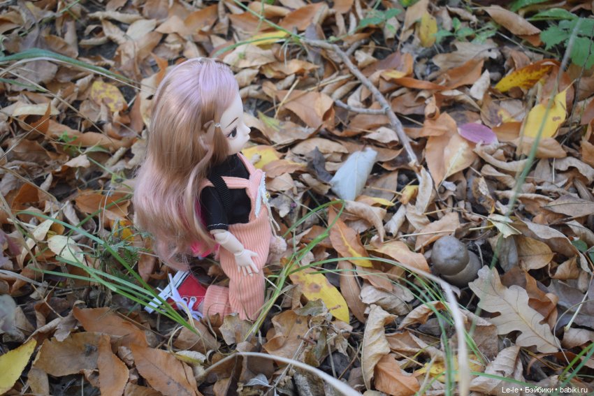Марыся едет за грибами — Куклы Baboliy (Баболи