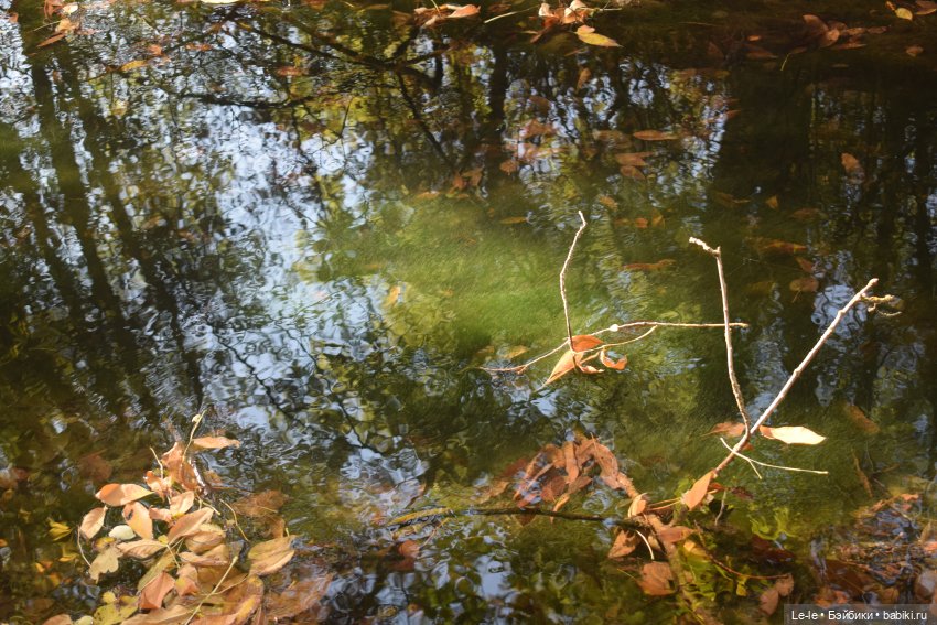 Марыся едет за грибами — Куклы Baboliy (Баболи