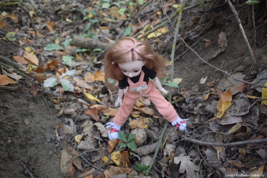 Марыся едет за грибами — Куклы Baboliy (Баболи (фото 3)