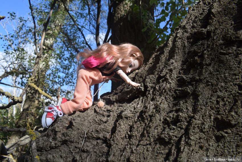 Марыся едет за грибами — Куклы Baboliy (Баболи