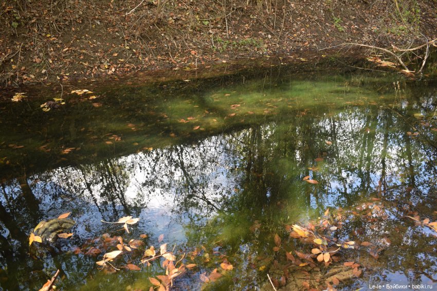 Марыся едет за грибами — Куклы Baboliy (Баболи
