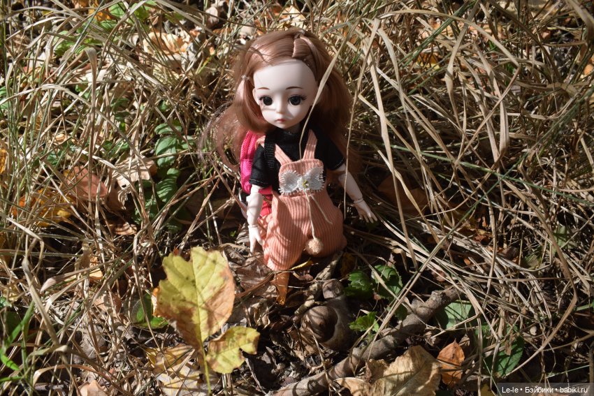 Марыся едет за грибами — Куклы Baboliy (Баболи (фото 2)