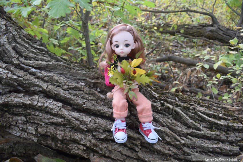 Марыся едет за грибами — Куклы Baboliy (Баболи (фото 7)