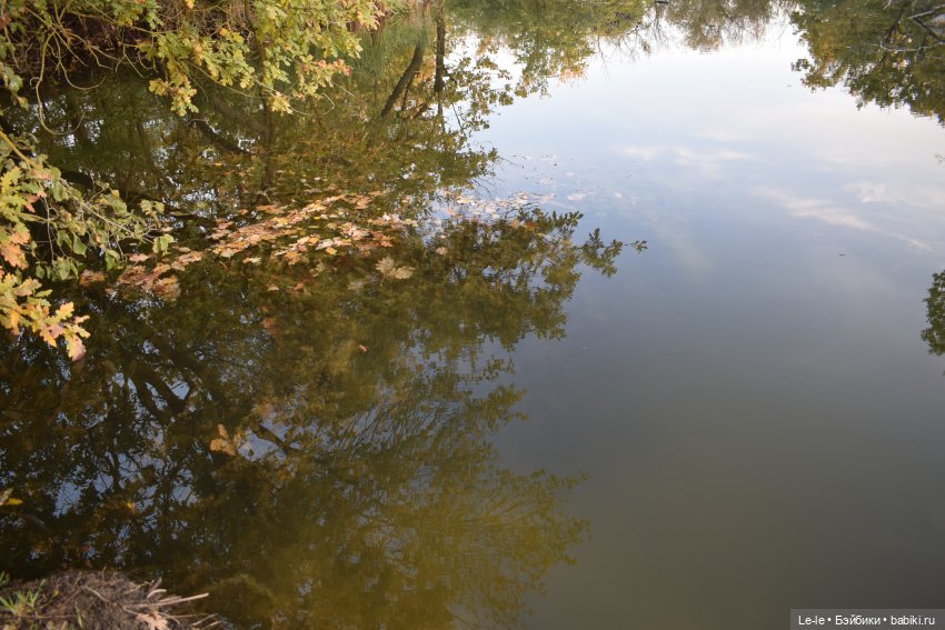 Серое Перо (постконкурсное) (фото 6)