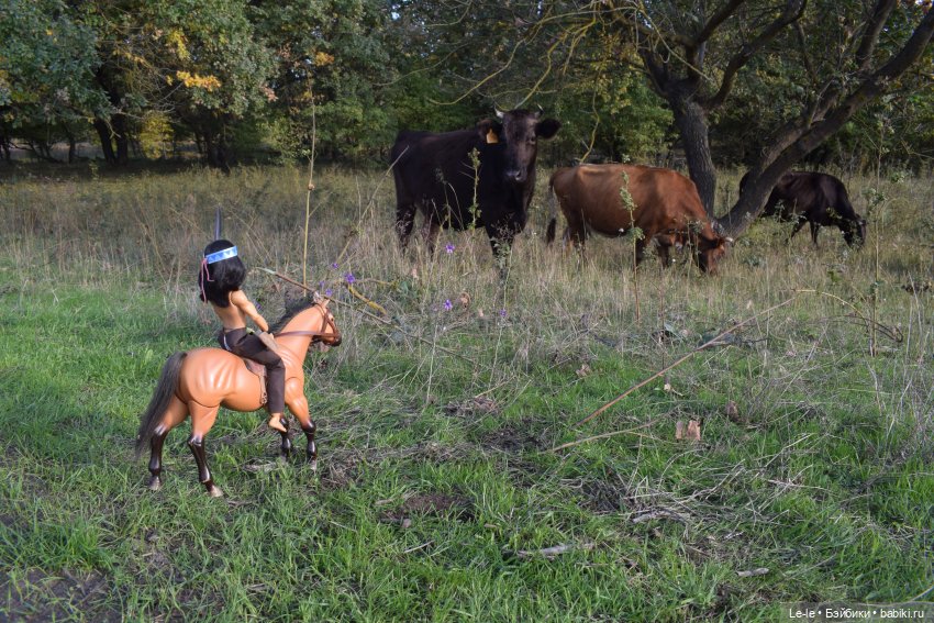 Серое Перо (постконкурсное) (фото 10)