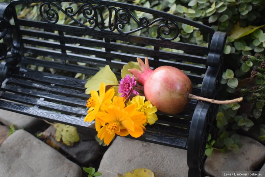 Как мы с Варей осень искали (фото 3)