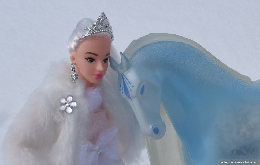 Прогулка с Нордом — Аналоги Барби и куклы 1/6: клоны 90 (фото 5)